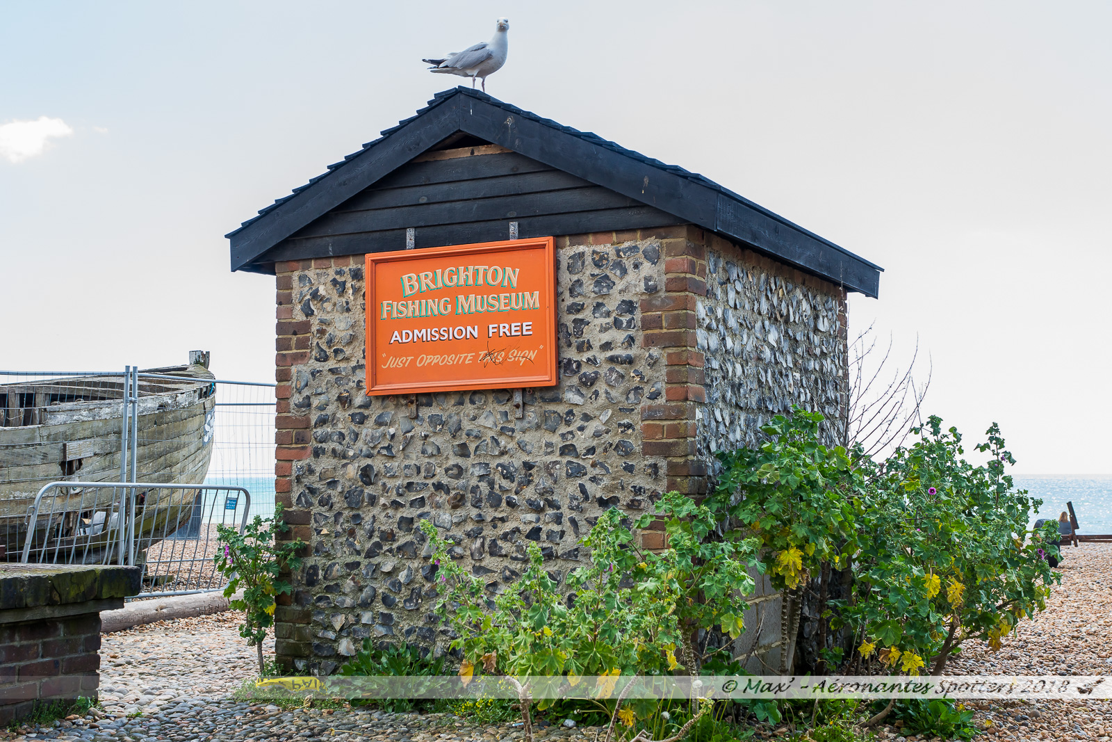 Le musée de la pêche de Brighton