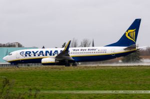 Boeing B737-800 (EI-DLN) Ryanair