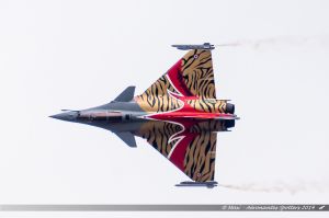 Dassault Rafale C (113-GU) Armée de l'Air : "NATO Tiger 2014 special c/s"