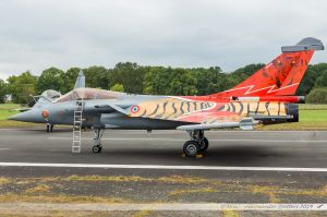 Dassault Rafale C (113-GU) Armée de l'Air : "NATO Tiger 2014 special c/s"
