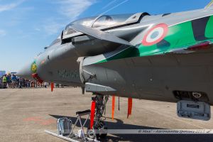 Dassault Rafale C (113-IX / 119) Armée de l'Air Française "Tiger Meet 2015"