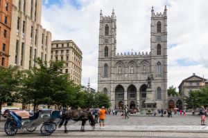 Place d'Armes et Basilique Notre Dame de Montréal