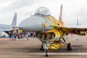 General Dynamics F-16AM Fighting Falcon (FA-77) Belgium Air Force "Tiger 2016 c/s"
