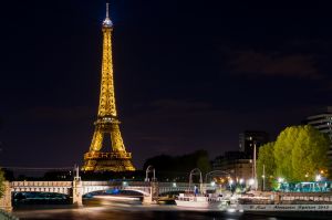La Tour Eiffel et le pont Rouelle du RER C depuis l'île aux Cygnes