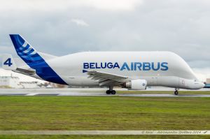 Airbus A300-600ST Beluga (F-GSTD) Airbus Transport International