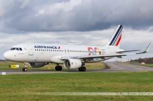 Airbus A320 (F-HEPG) Air France '80ans c/s'